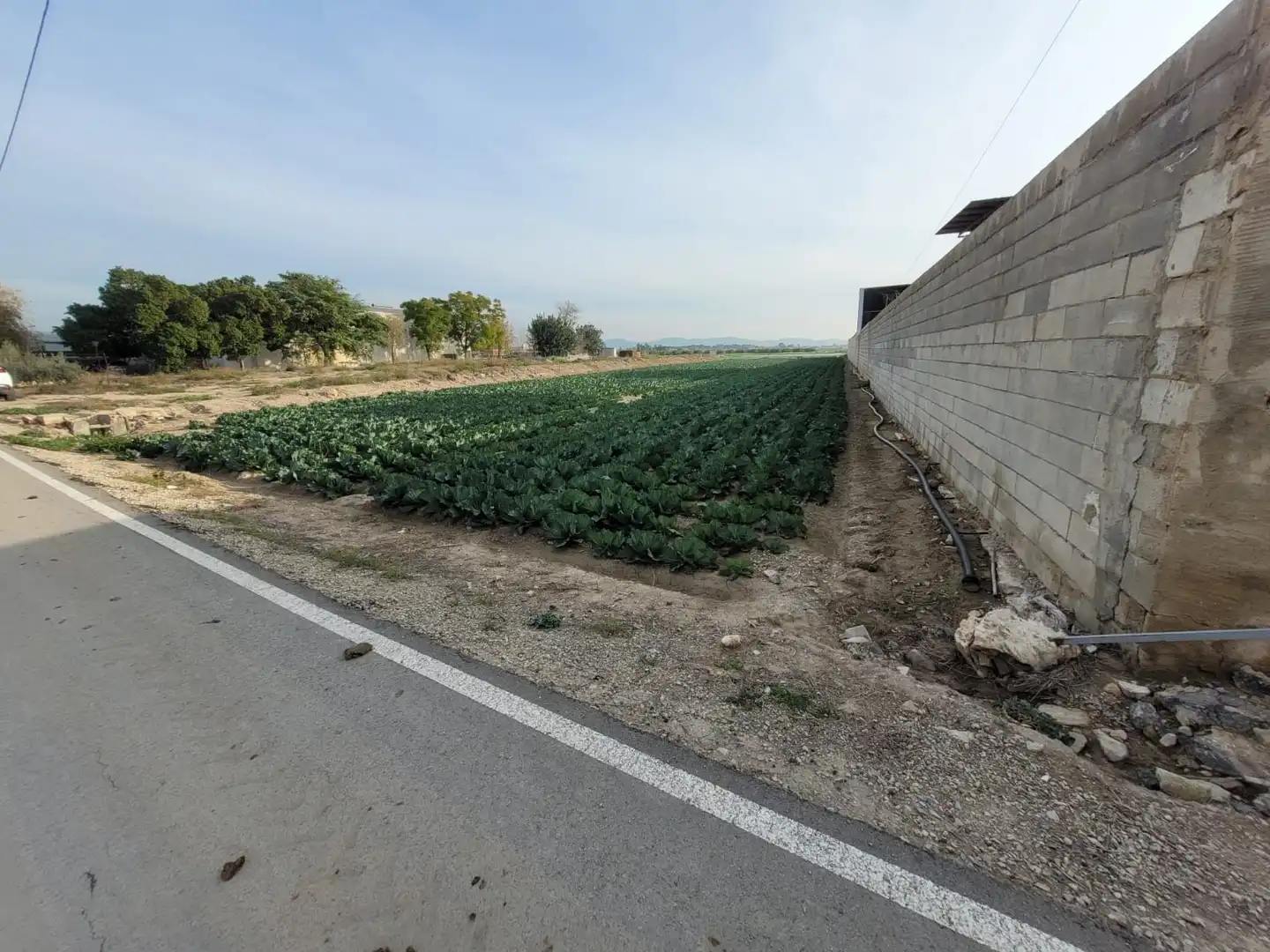 Terreno rustico in vendita a Montepinar - La Aparecida - Raiguero