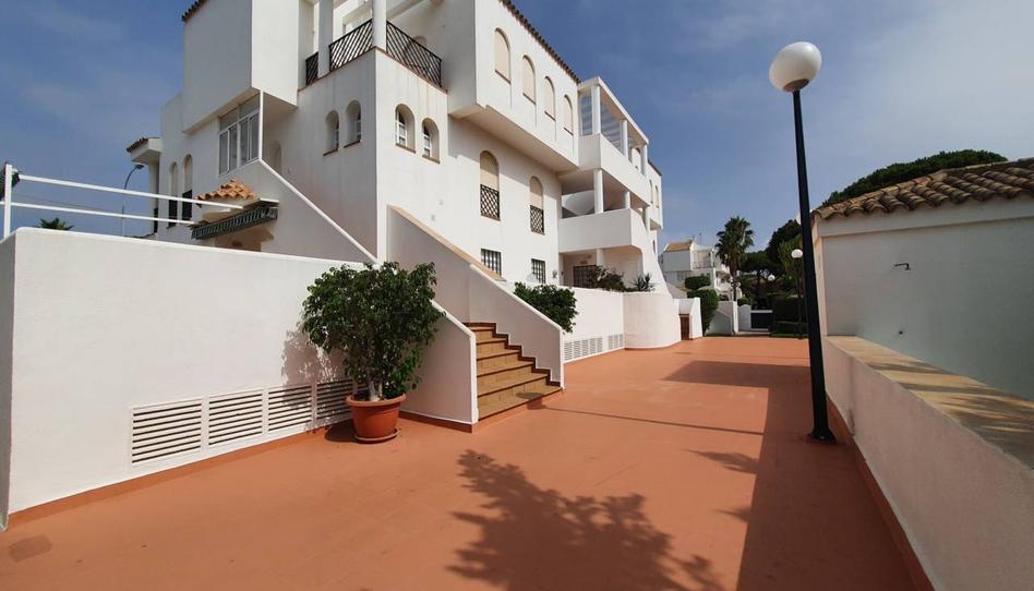 Foto 1 de Pis de lloguer a La Barrosa, Cádiz