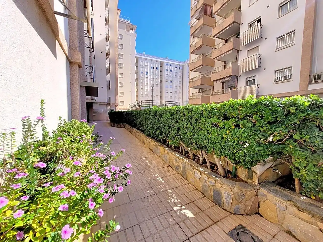 Apartments for rent in Rosa De Los Vientos, 20, Playa de Gandia