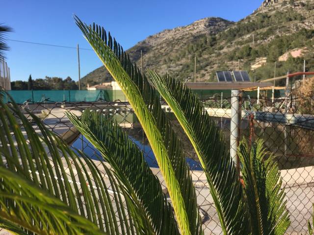 Terreno residencial en Venta en Avenida CORTS VALENCIANES, 26 en Barx