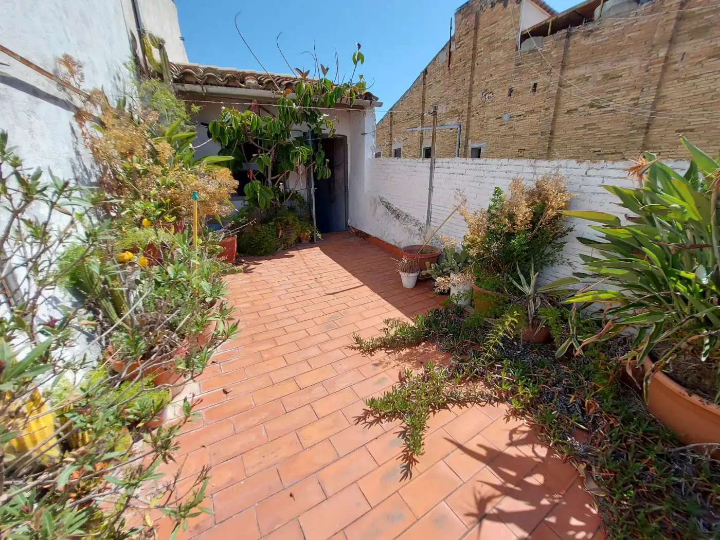 Maison à vendre à Centre Vila, imagen 2