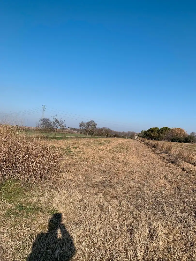 Rural land for sale in Juneda, imagen 2