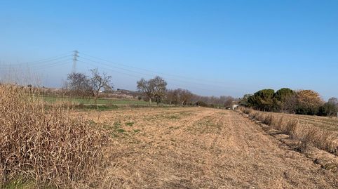 FINCA RÚSTICA, " Pda. Planes o Cabrahi ", immagine 2