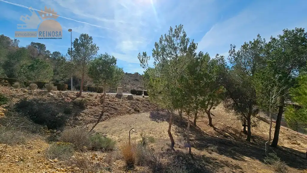 Terreny residencial en venda a Calle Castillo de Caravaca, imagen 8