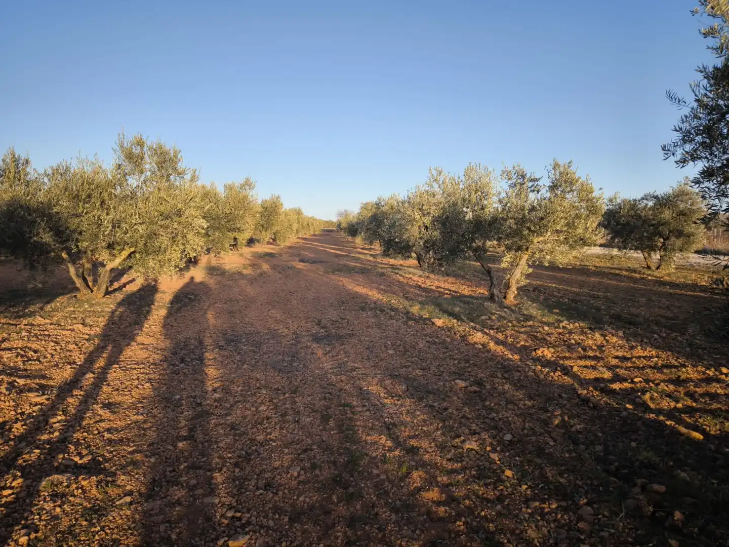 Casa o chalet en venta en Valdepeñas