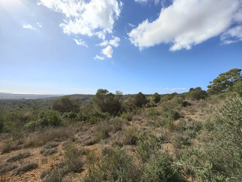Terreny rústic en venda a Llevant, imagen 15