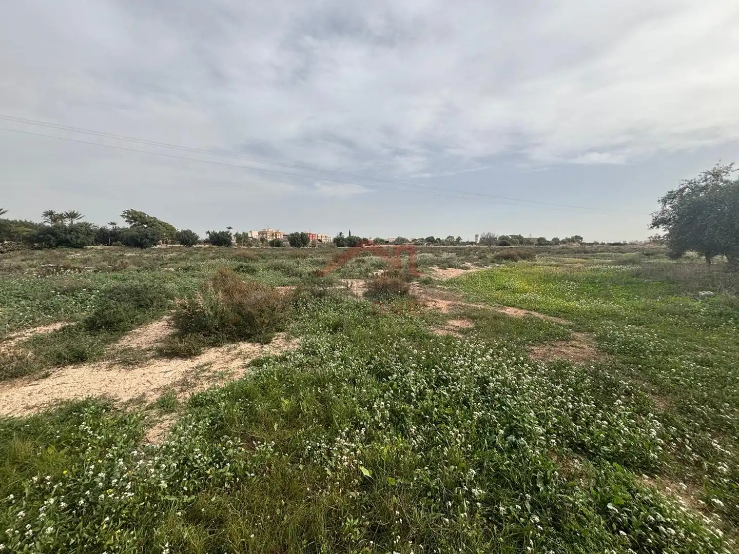 Grundstücke zur Miete in Elche / Elx