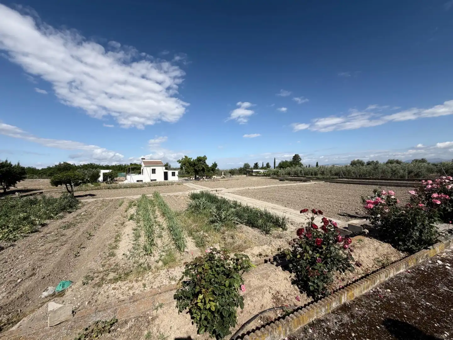 Garten von Grundstücke zum Verkauf in La Zubia