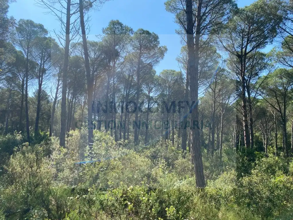 Land for sale in Pals