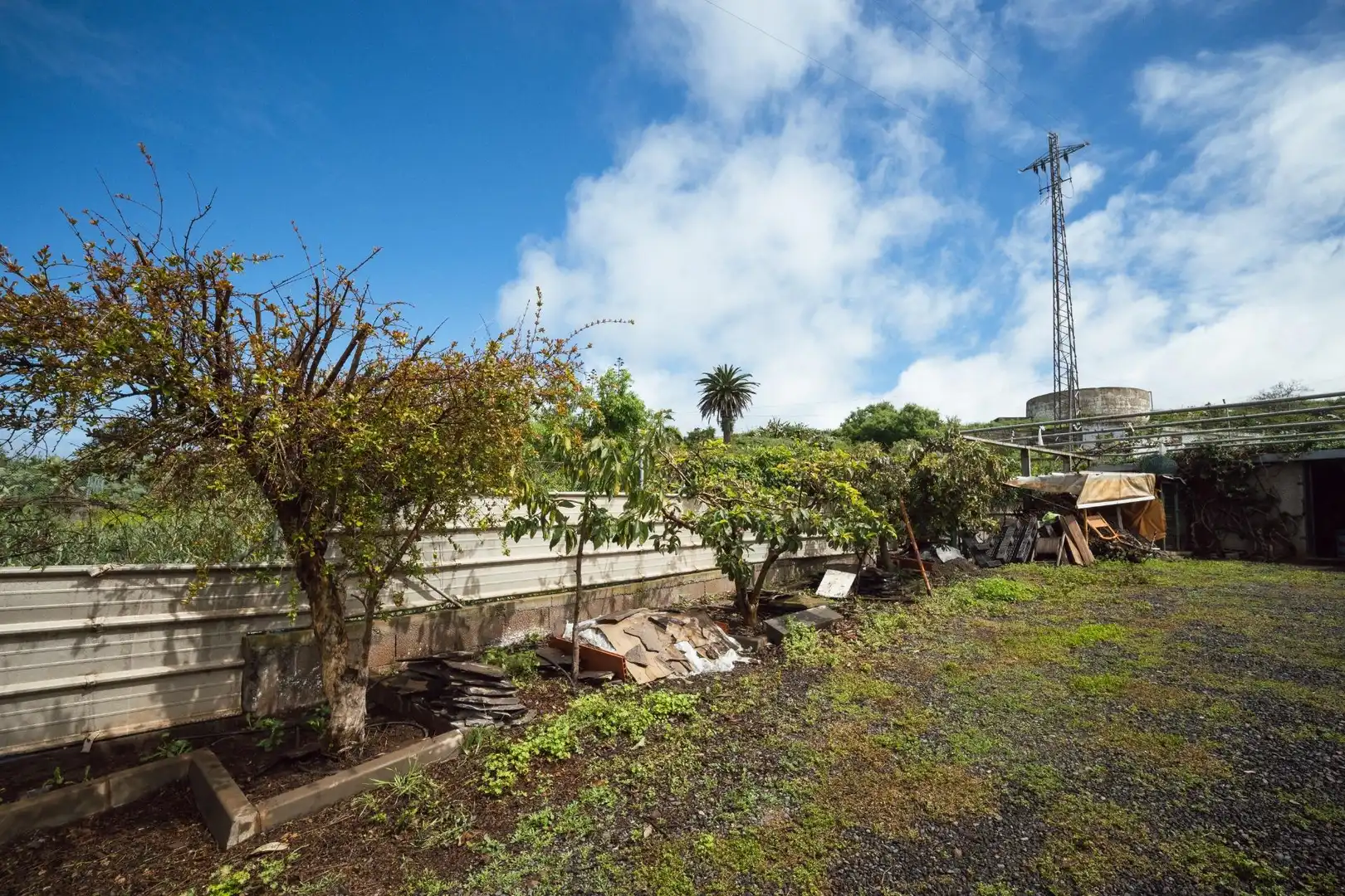 Jardín de Finca rústica en venta en El Sauzal