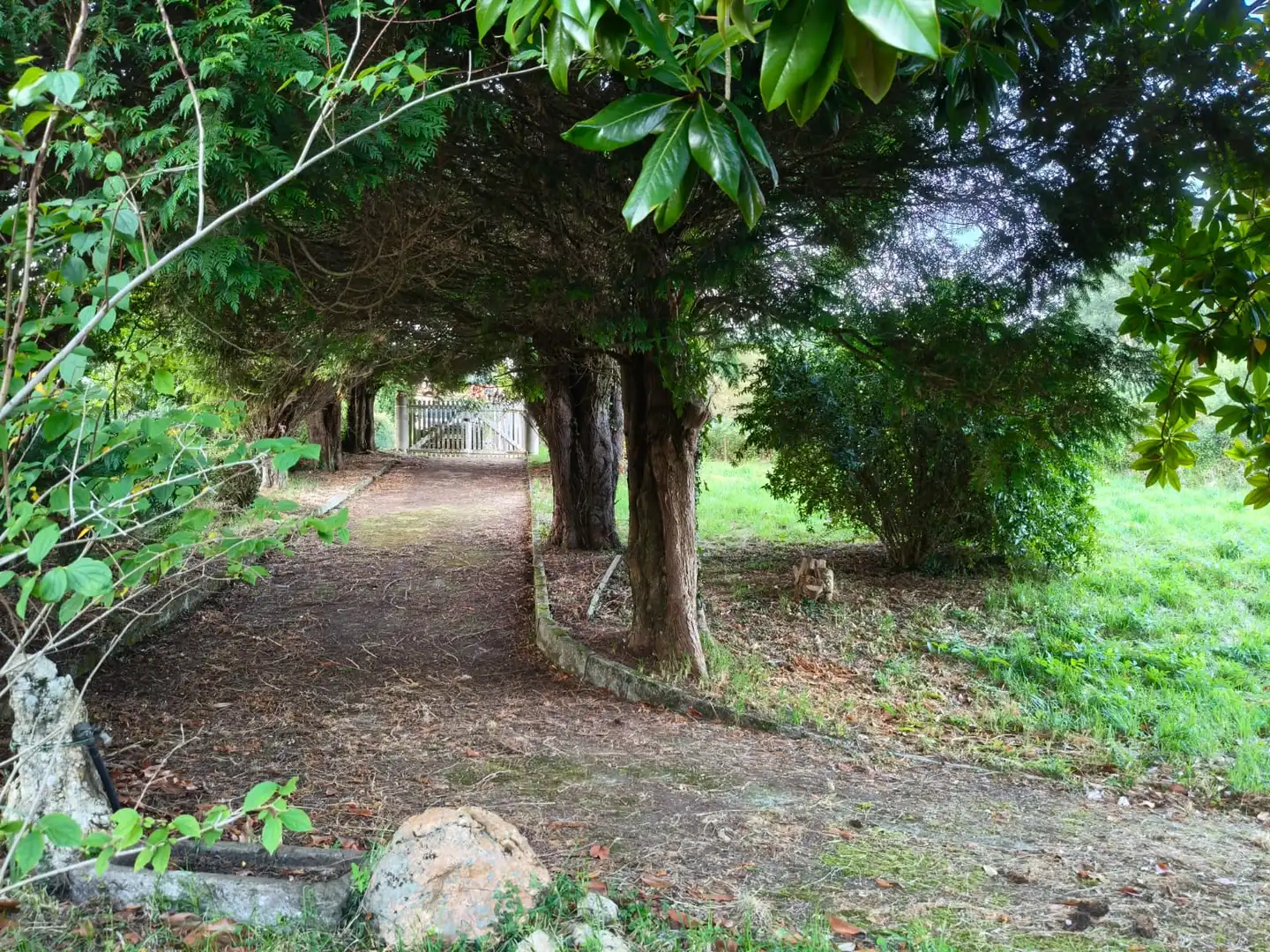 Jardí de Finca rústica en venda en Cedeira amb Jardí privat i Forn