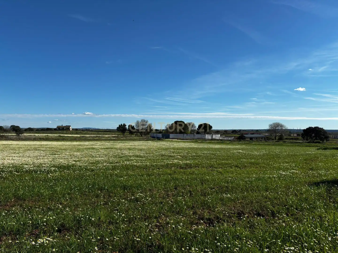 Grundstücke zum Verkauf in Moraleja