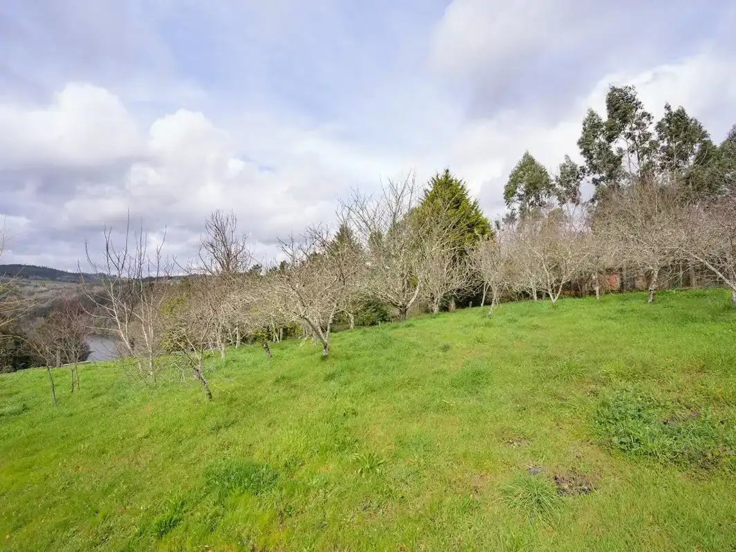 Piso en venta en Vila de Cruces con Jardín privado, Trastero y Amueblado