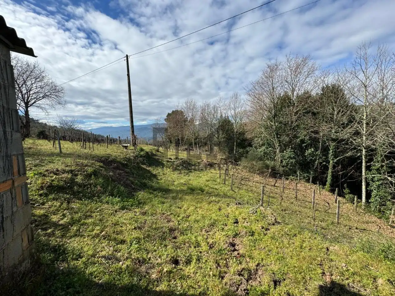 Casa o chalet en venta en San Amaro