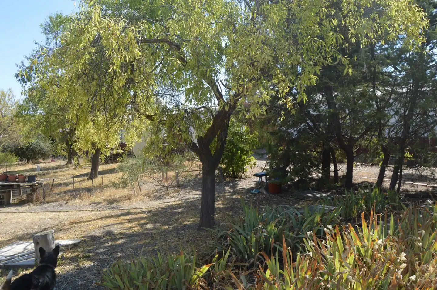 Jardí de Finca rústica en venda en Tarancón amb Jardí privat