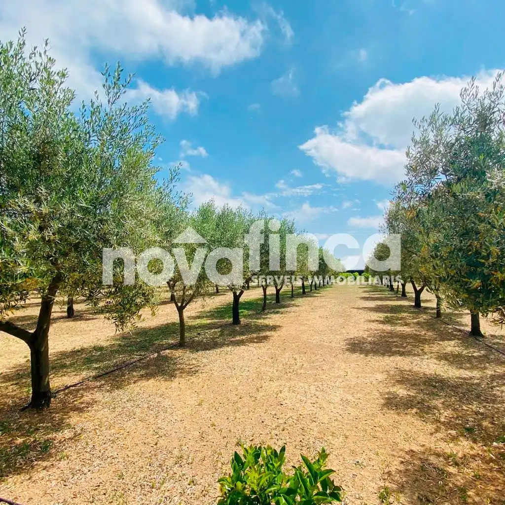 Casa rustica con giardino in vendita a Mont-ras, imagen 8