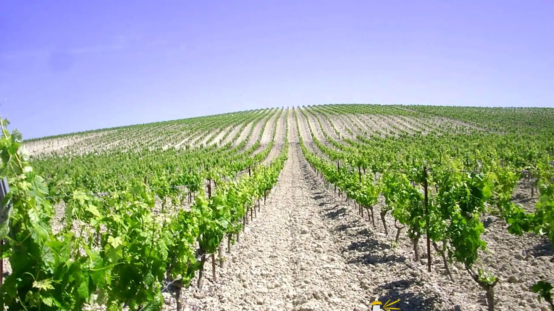 Vista exterior de Finca rústica en venta en Jerez de la Frontera con Terraza