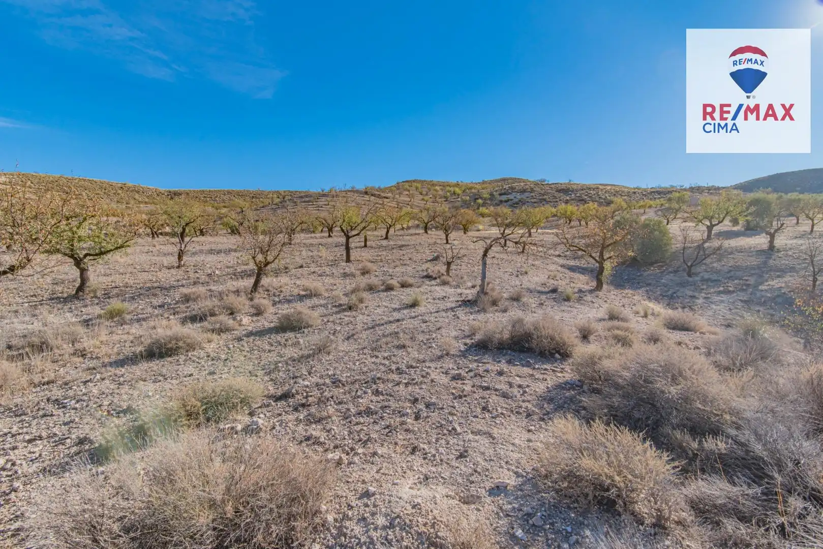 Terreno en venta en Santa Cruz del Comercio