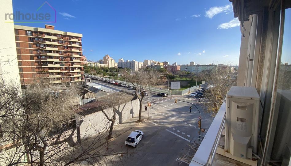 Photo 1 of Flat to rent in General Ricardo Ortega, La Llotja - Born, Illes Balears