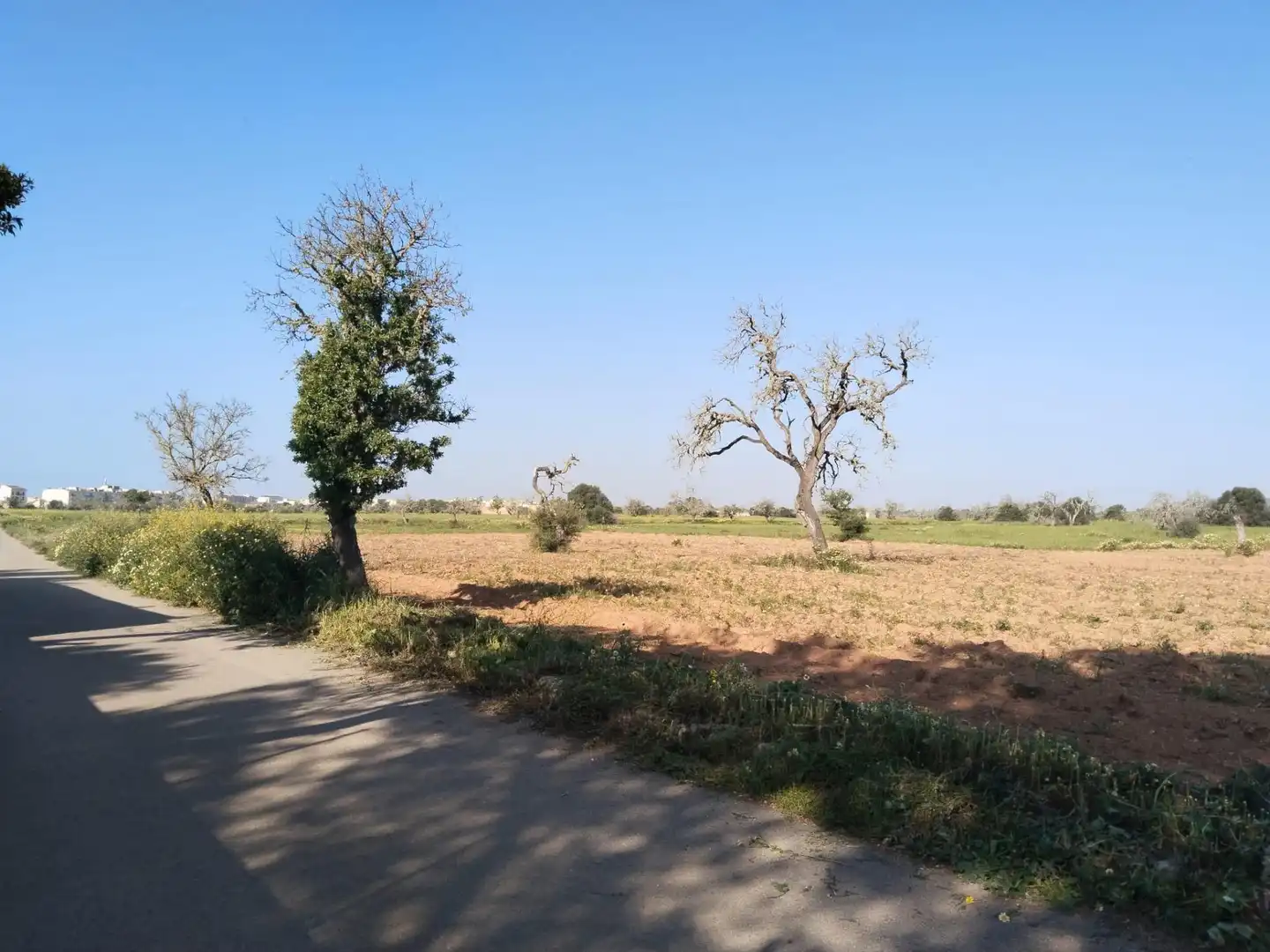 Rustikales Grundstück zum Verkauf in Campos poble, imagen 6