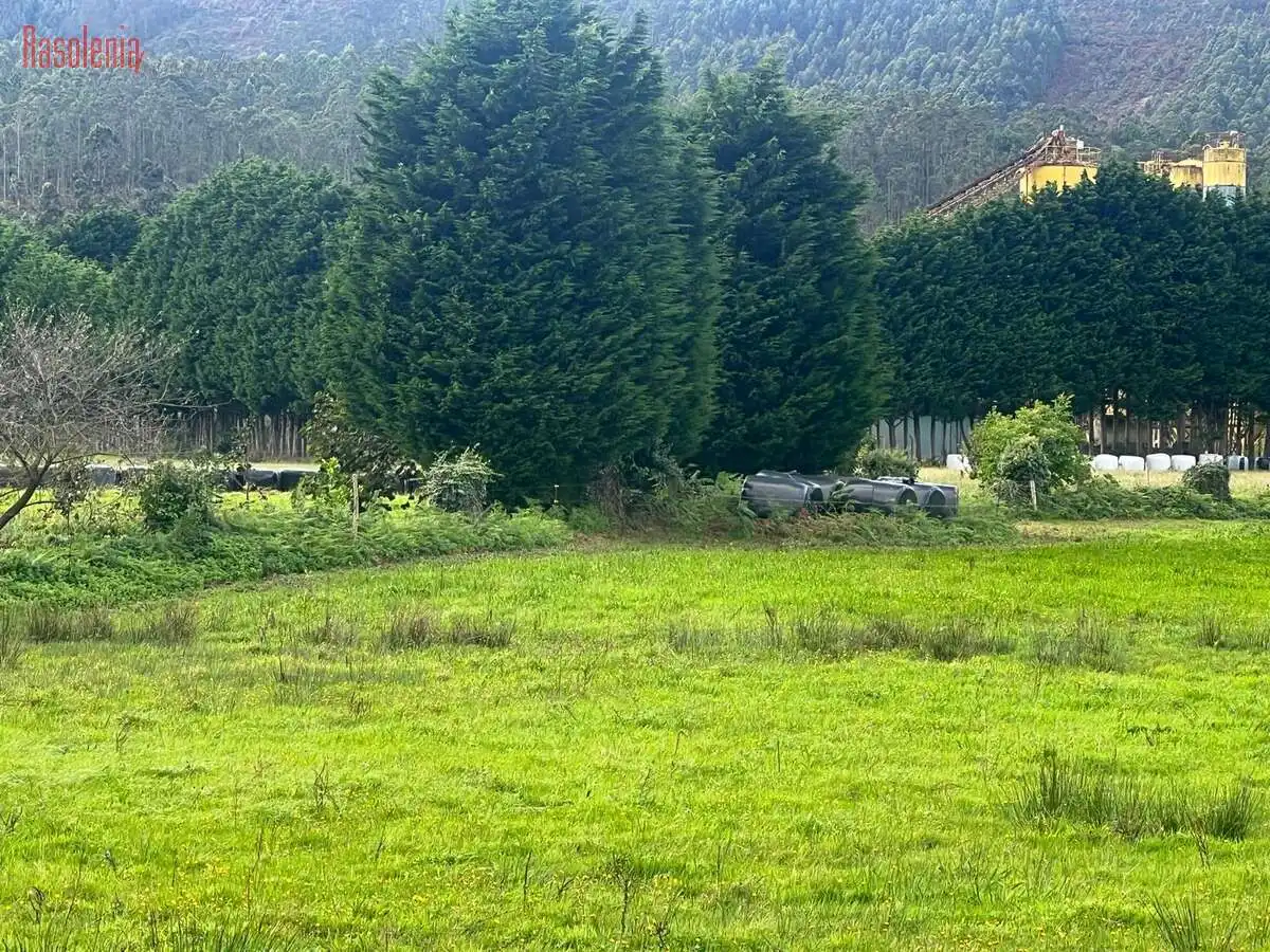 Terreni e lotti in vendita a General San Pedro SN, imagen 2