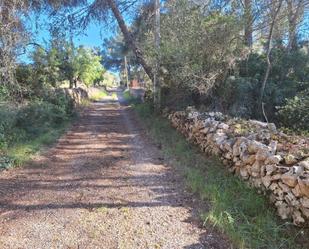 Vista exterior de Residencial en venda en  Palma de Mallorca