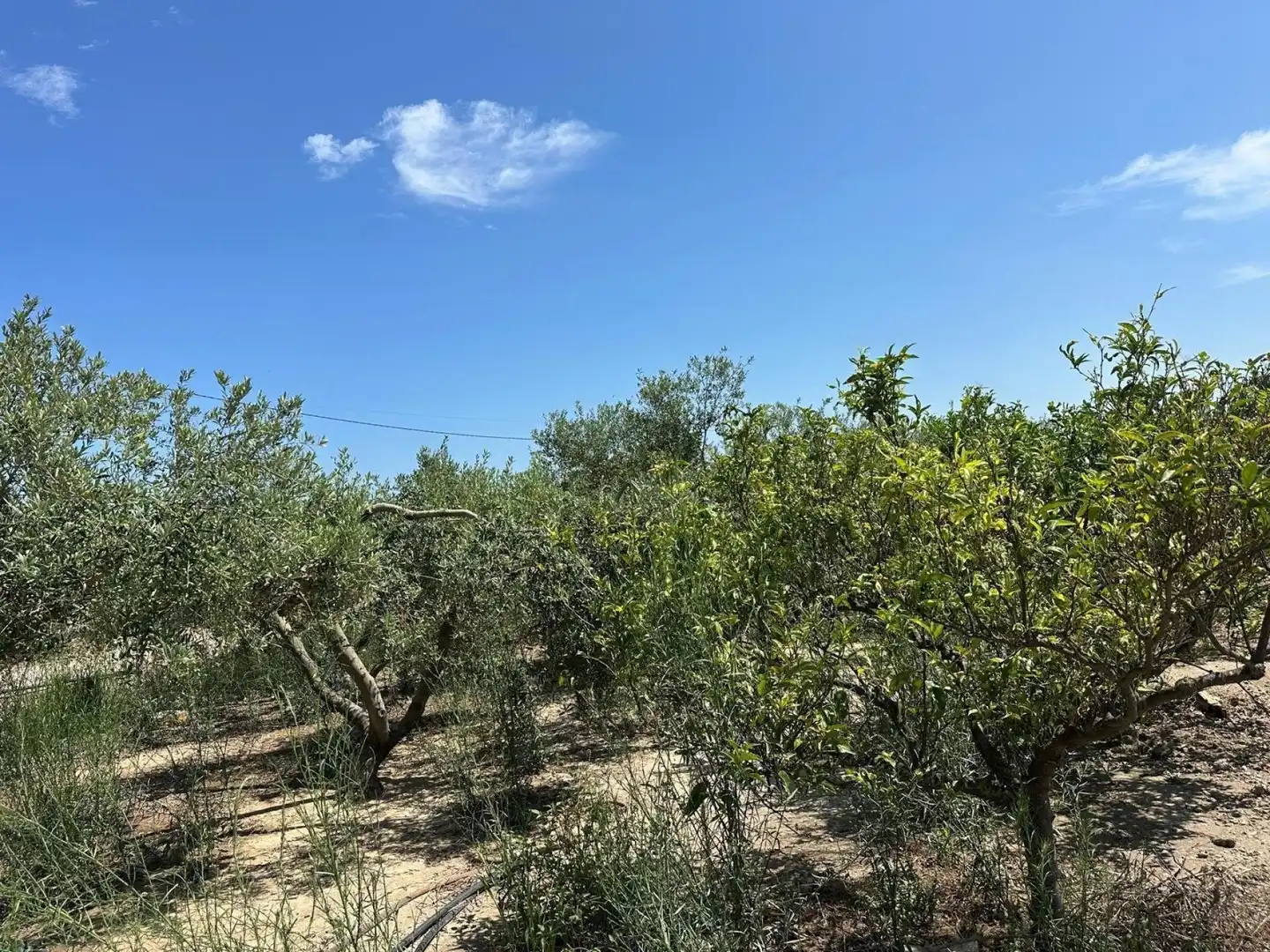 Casa en venta en Sant Jaume d'Enveja, imagen 22