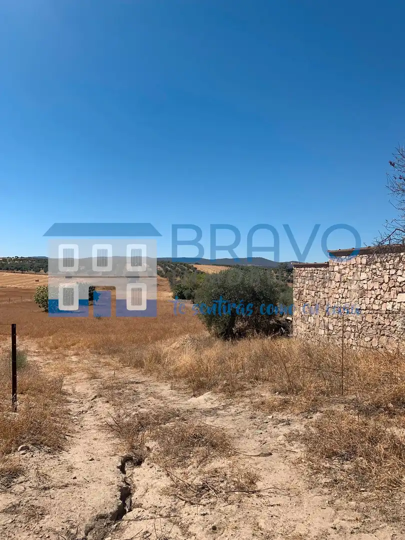 Chalet en venta en La Haba, imagen 43