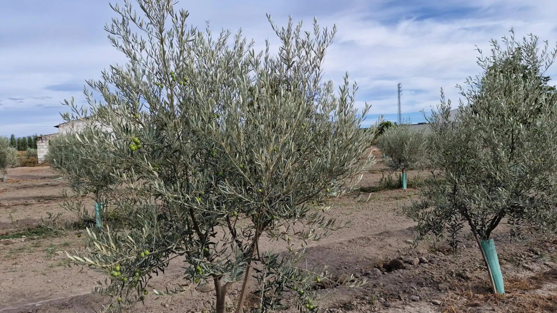 Terreno en venta en Santa Fe
