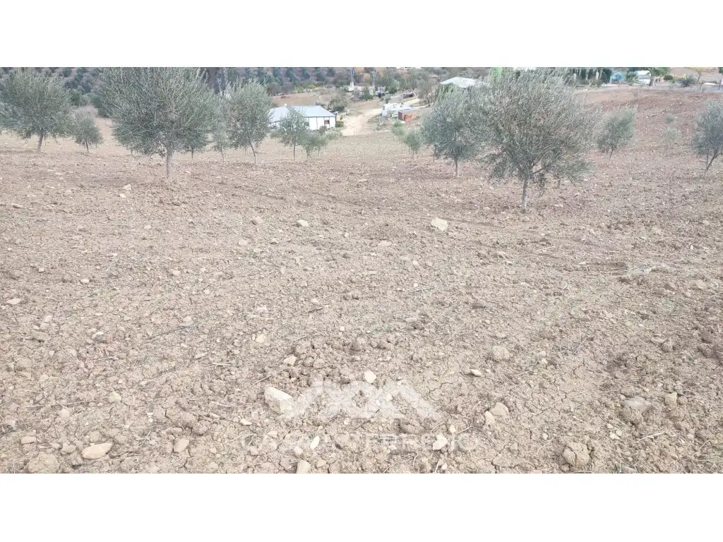 Terreni e lotti in vendita a Polígono 174 Parcela, imagen 10