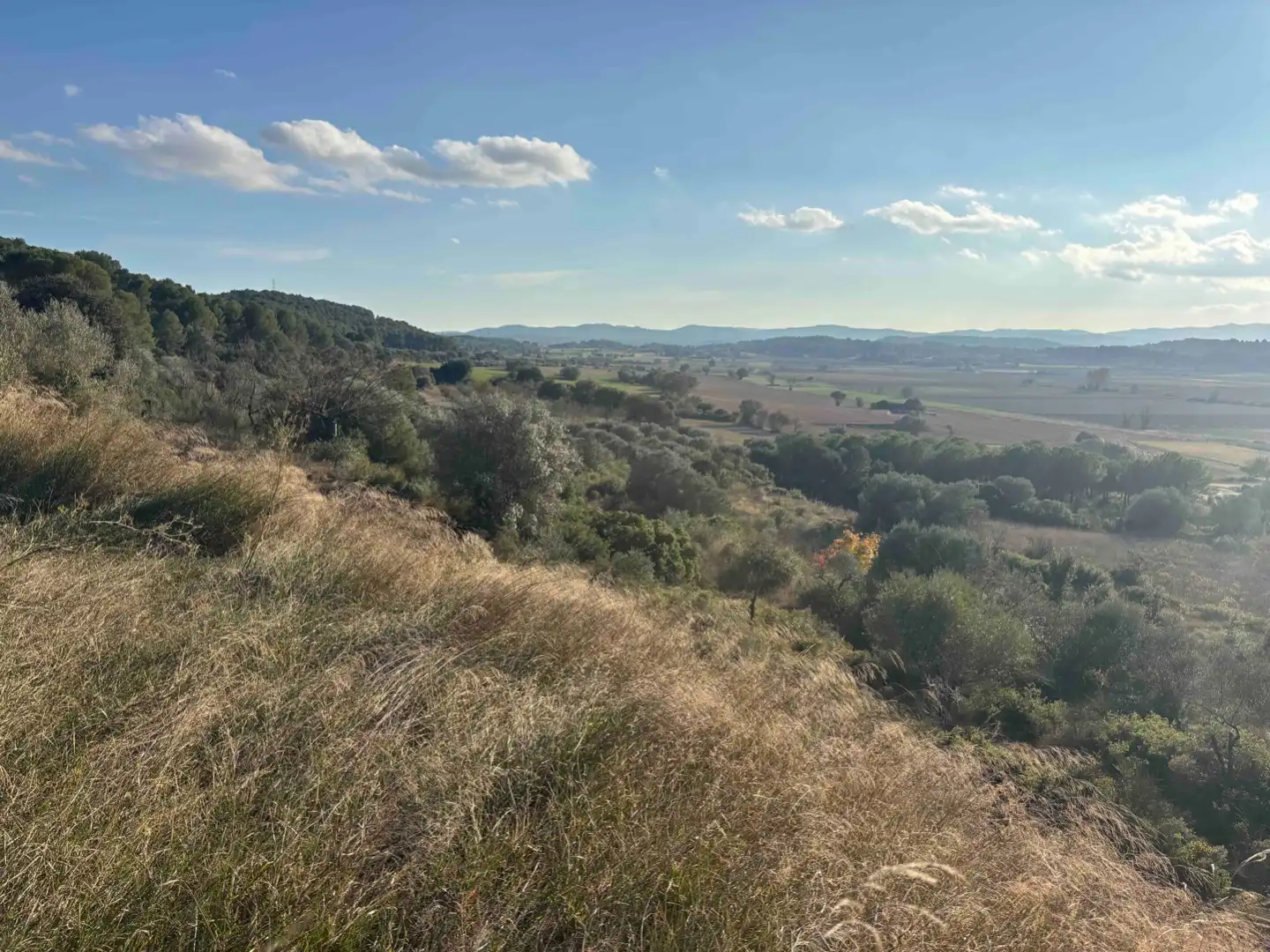 Terreny rústic en venda a Camino de Llabia a Palau S-numero, imagen 2