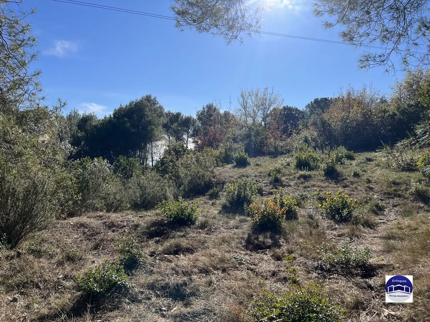 Terrain résidentiel à vendre à Carrer de Banyoles, imagen 2