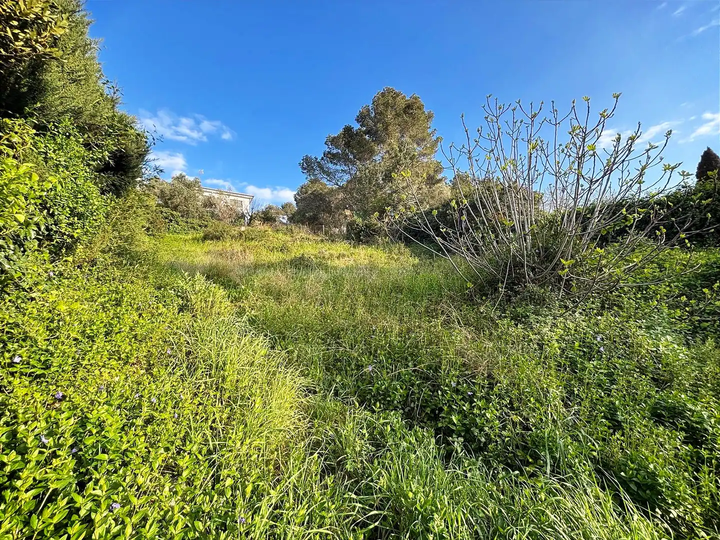 Terreno residencial en venta en Canyelles, imagen 23