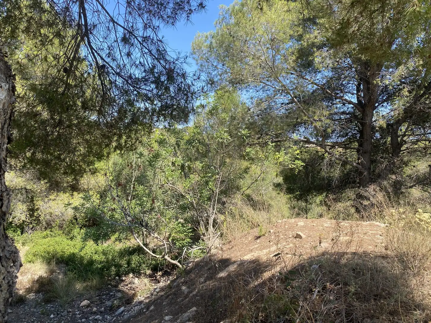 Residential land for sale in Urbanitzacions de Llevant, imagen 27
