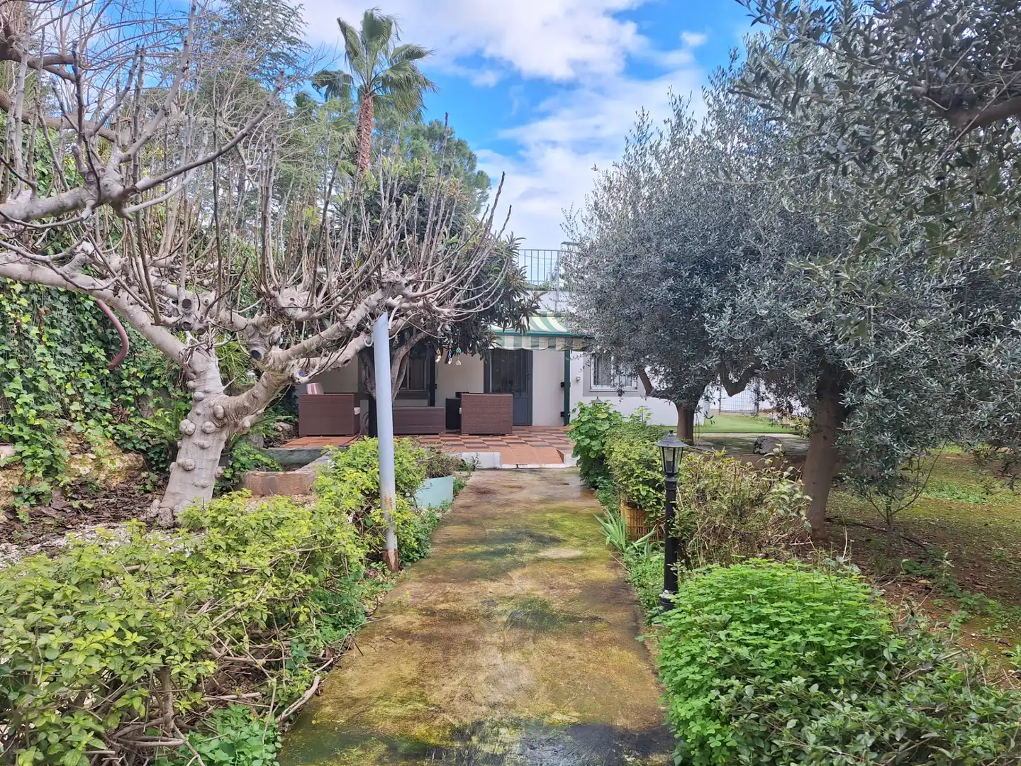 Jardí de Finca rústica en venda en Alfara de la Baronia amb Aire condicionat, Jardí privat i Moblat