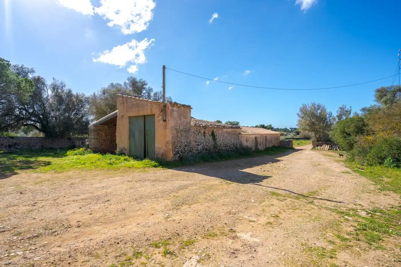 Country house with garden for sale in Llucmajor pueblo, imagen 9