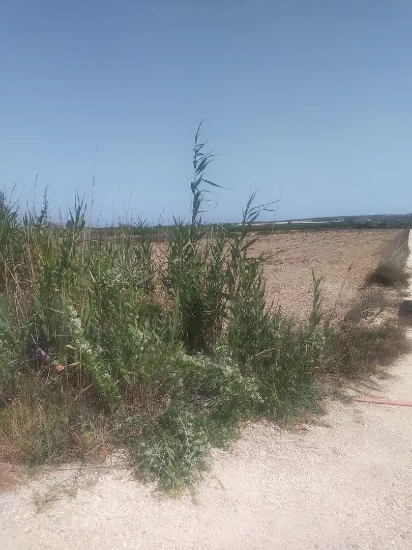 Terrain rustique à vendre à La Foia - Daimés - Asprella, imagen 9