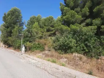 Terreny rústic en venda a Pt Urbanización La Almazara, imagen 11