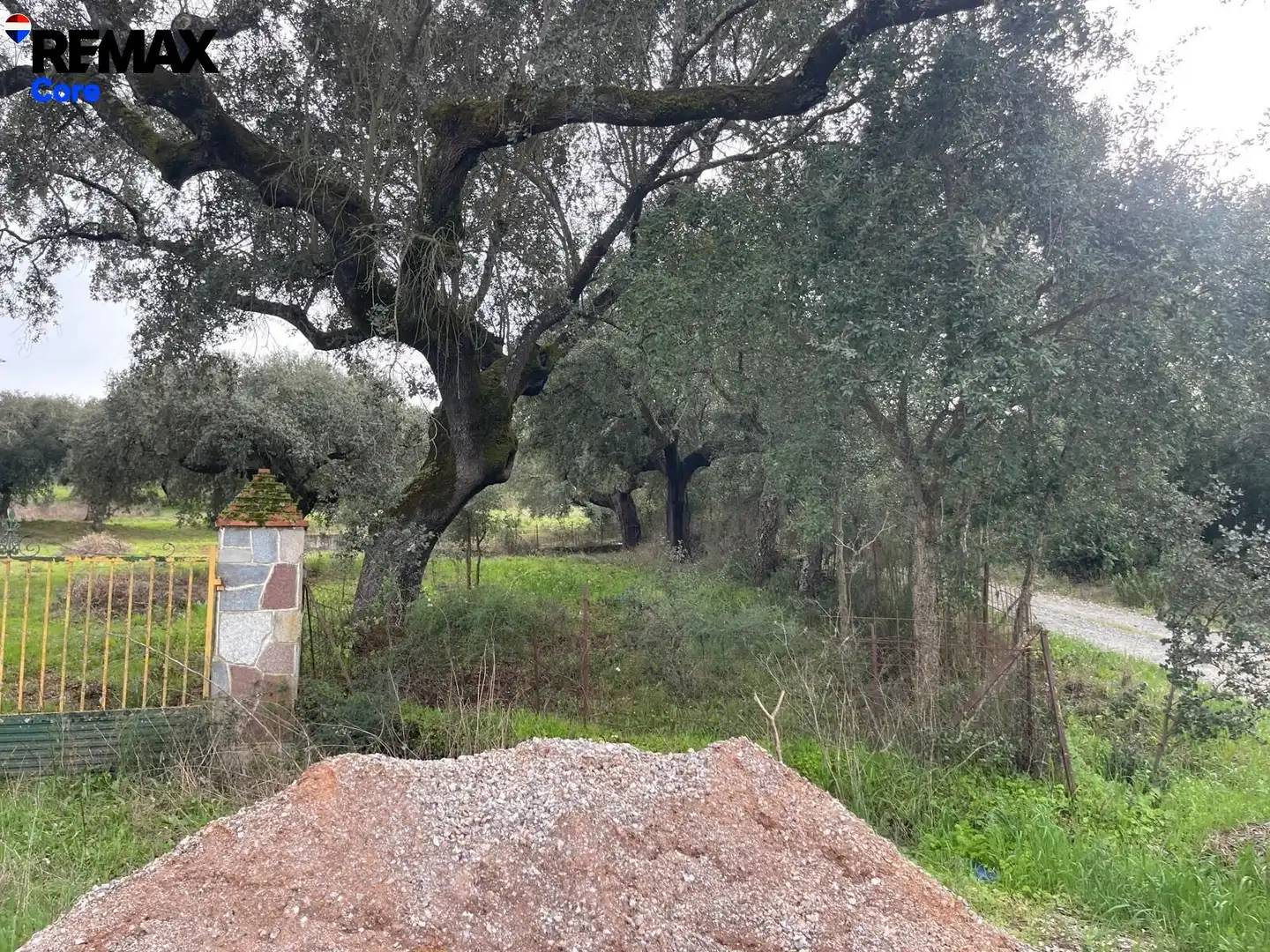 Terreni e lotti in vendita a Jerez de los Caballeros, imagen 12