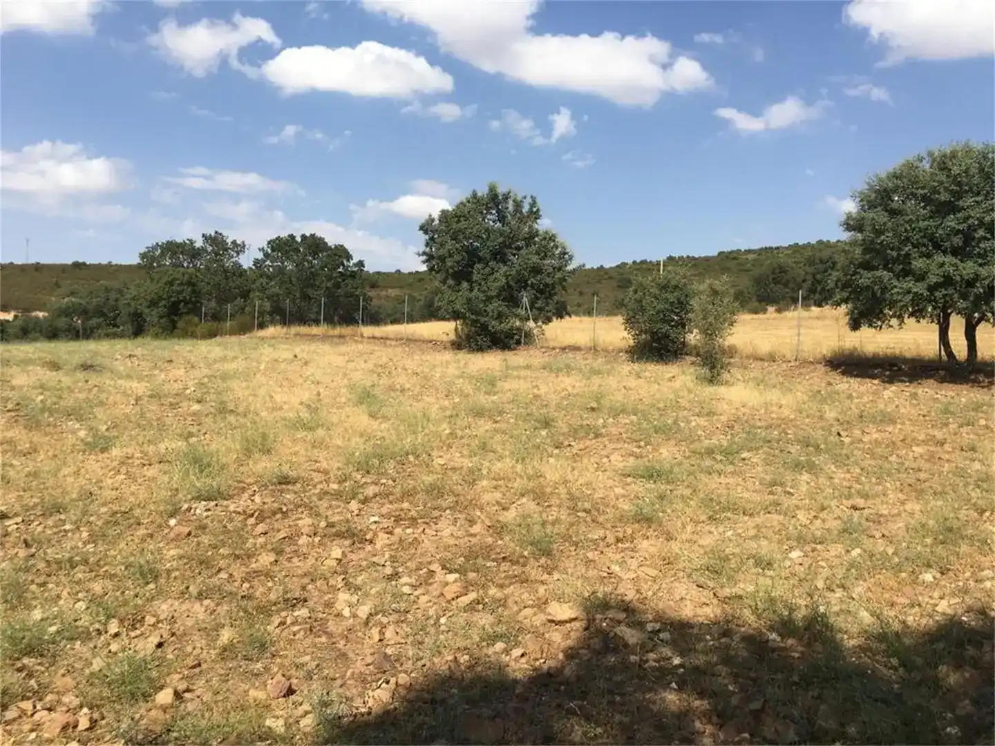 Land for sale in Hontanar
