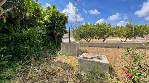 Foto 4 de Finca rústica en venta en La Pinilla - Las Palas, Fuente Álamo de Murcia