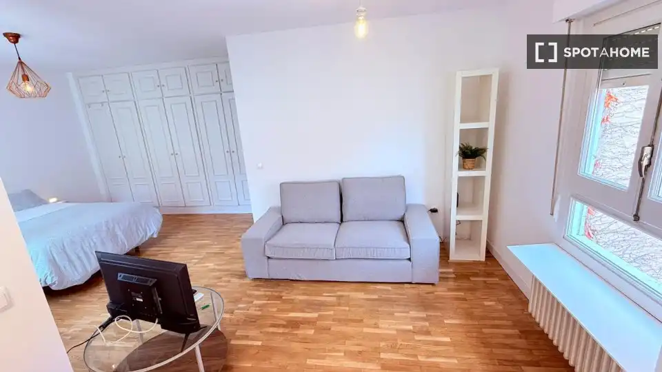 Living room of Study for share in Madrid  with Air Conditioner, Heating and Terrace