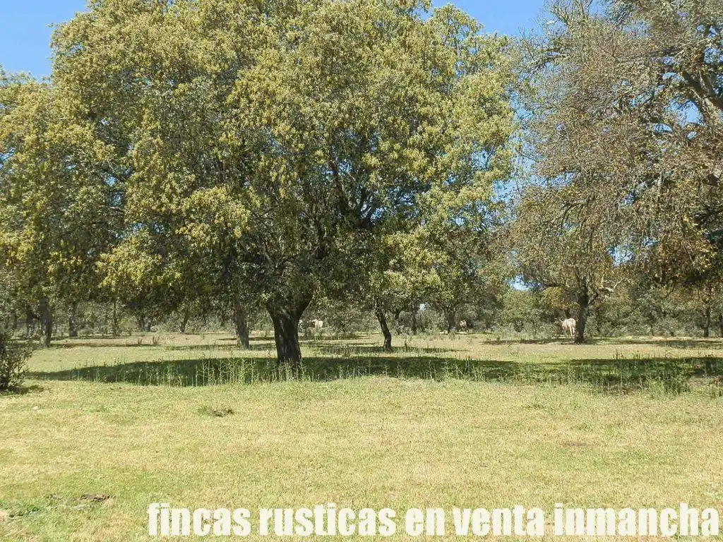 Terreno rustico in vendita a Ciudad Rodrigo, imagen 26