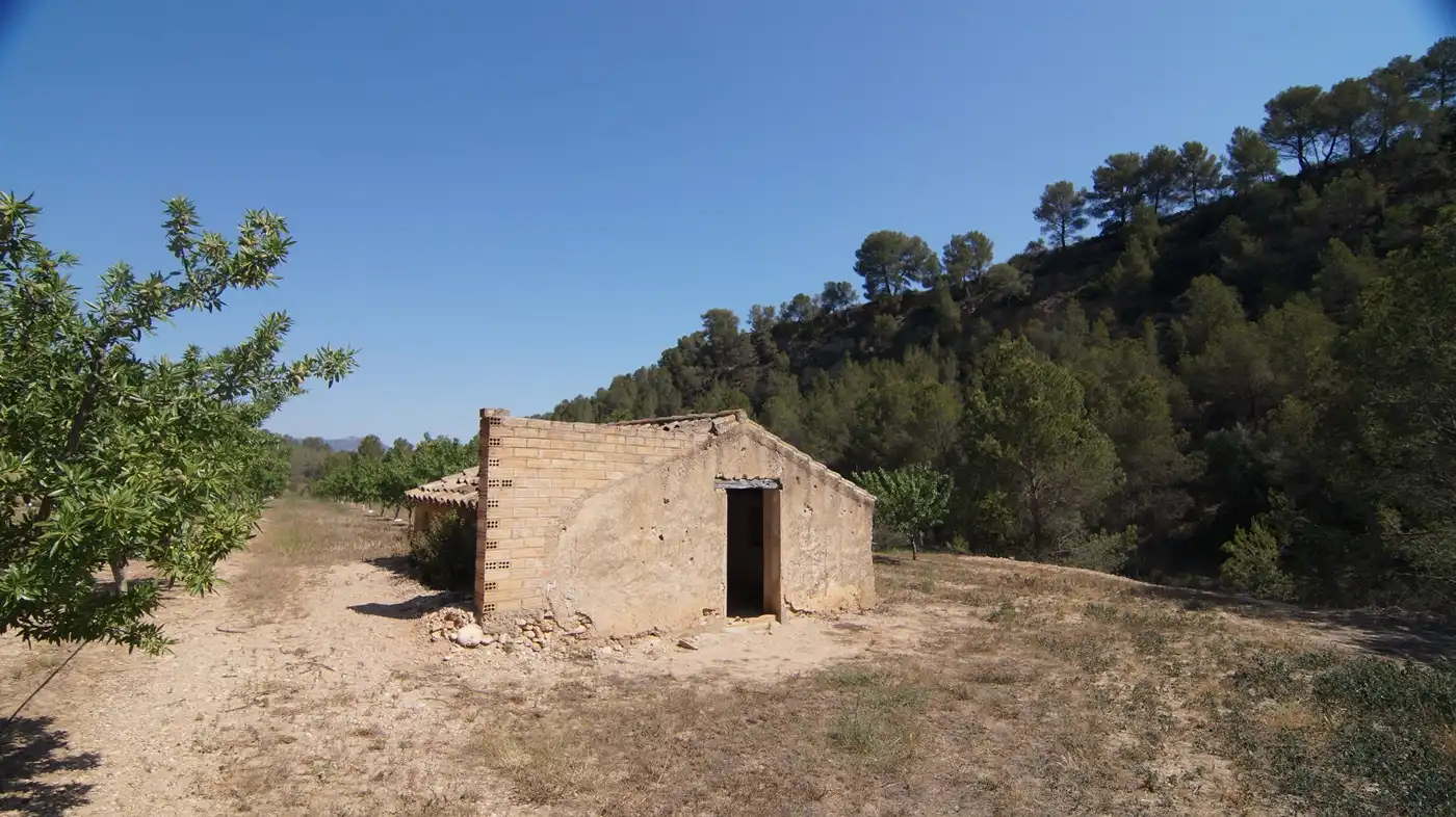 Terrain rustique à vendre à Ginestar, imagen 4