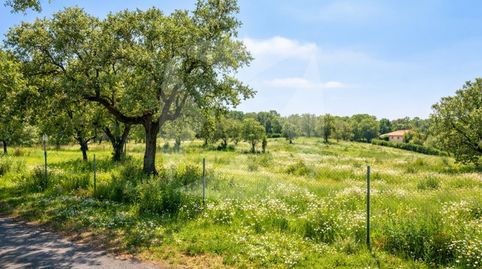 Foto 5 de Residencial en venta en Arrabal Tres Arroyos Ar-9, Carretera de Sevilla - Los Montitos, Badajoz Capital