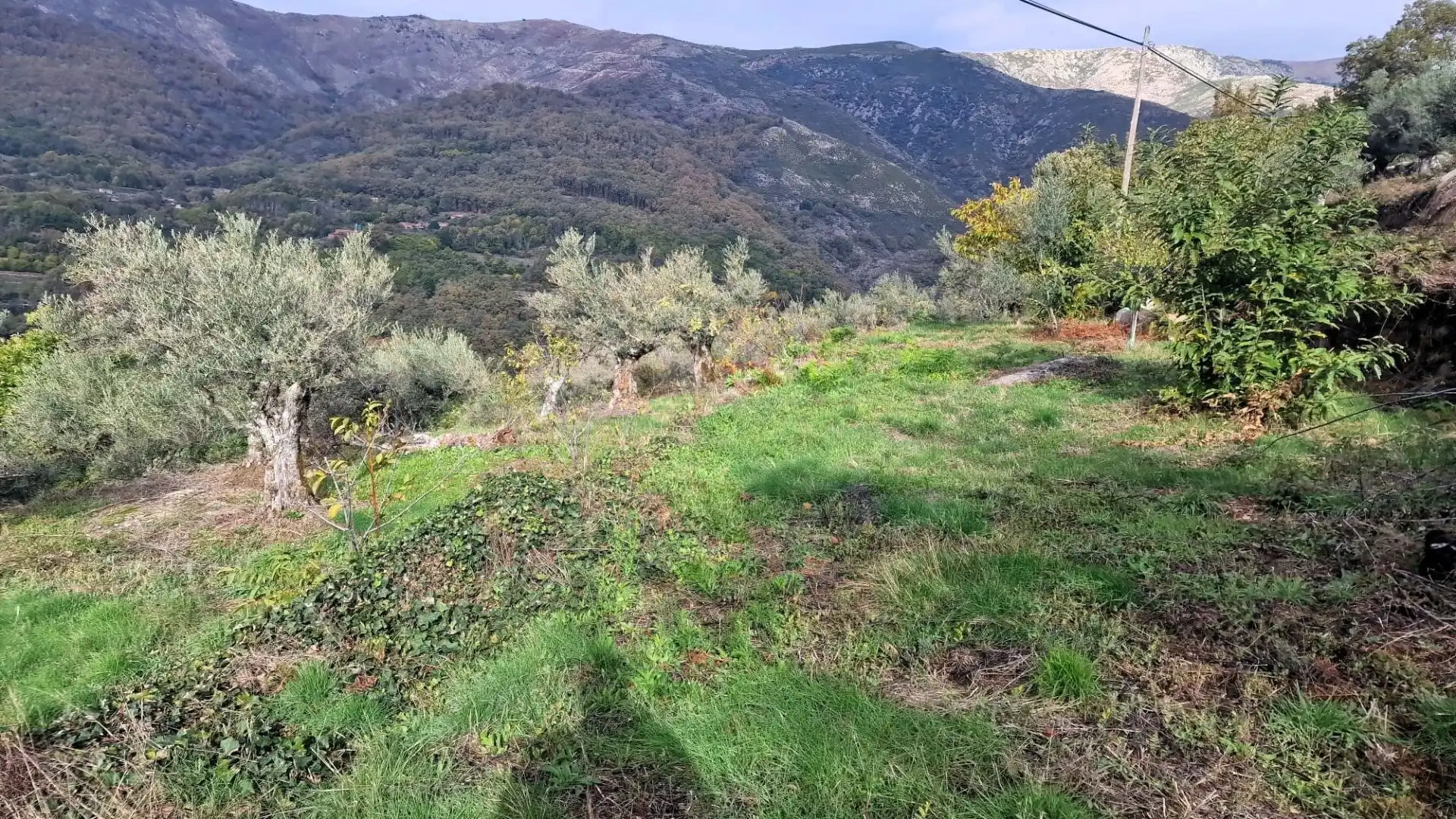 Terreno en venta en Guijo de Santa Bárbara