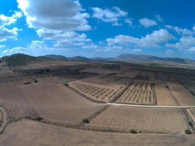 Terreni e lotti in vendita a Yecla, imagen 9