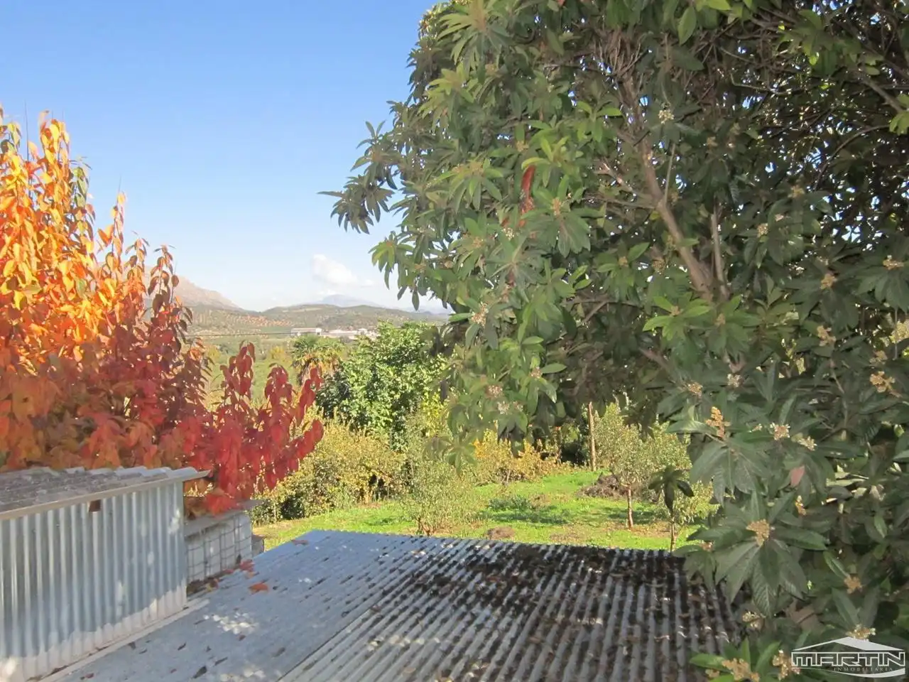 Jardí de Casa o xalet en venda en Carcabuey amb Terrassa, Traster i Piscina