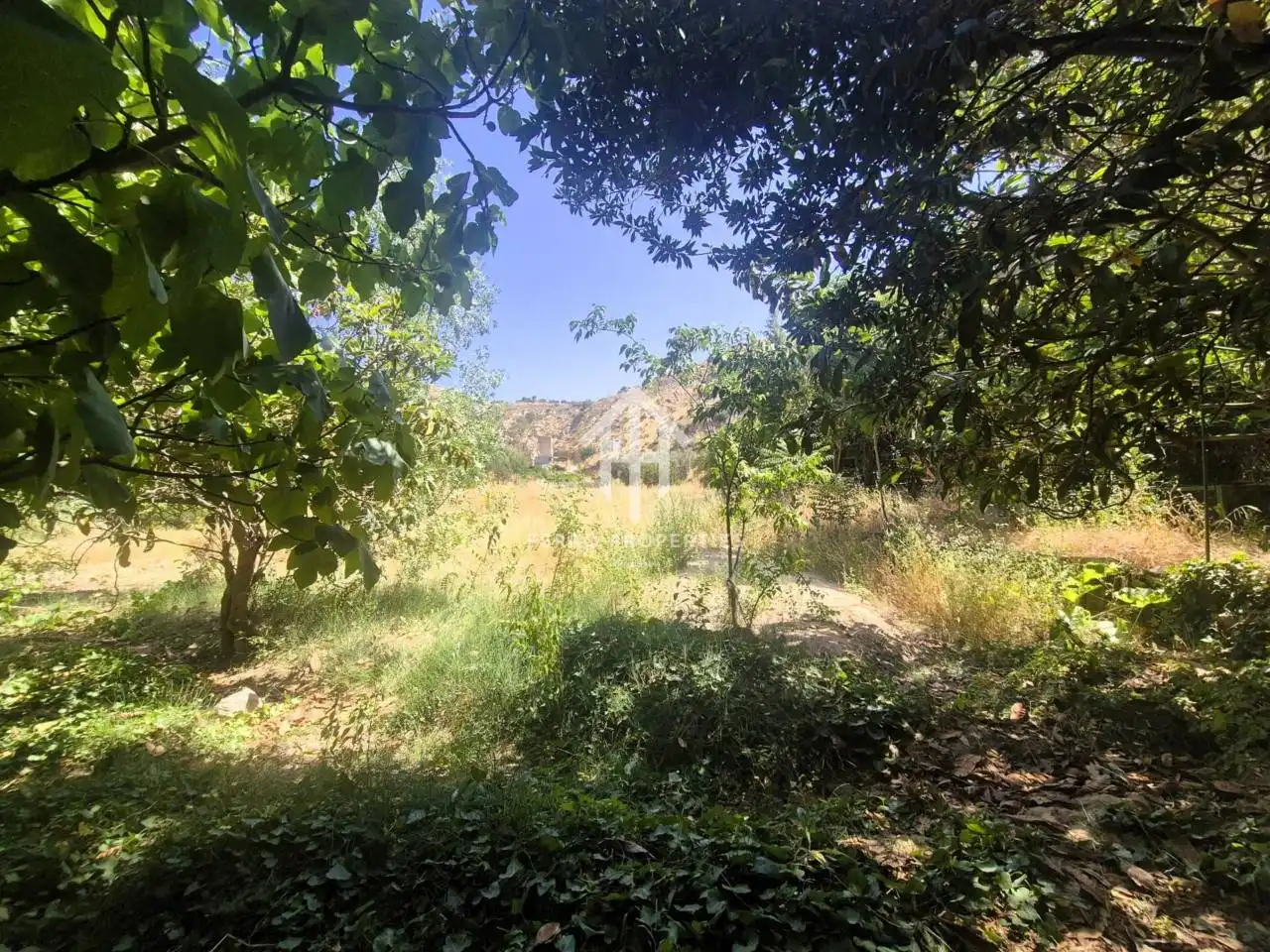 Terreno rustico in vendita a Loja, imagen 11