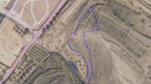 finca de secano